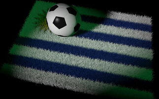 梅西在尤文图斯比赛中挺进下一轮，问鼎冠军引发热议